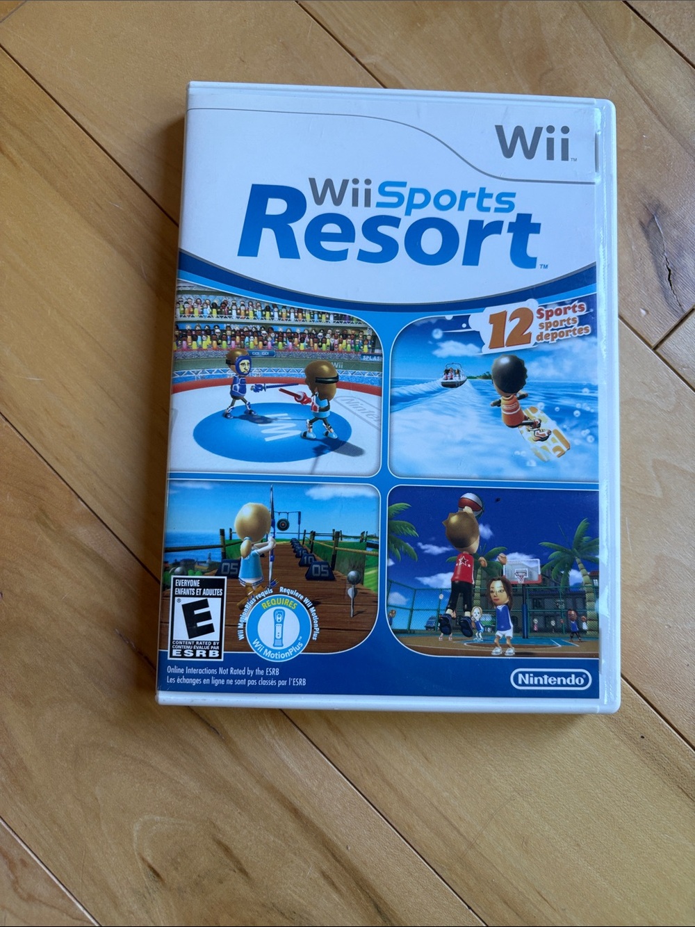 Nintendo Wii resort game